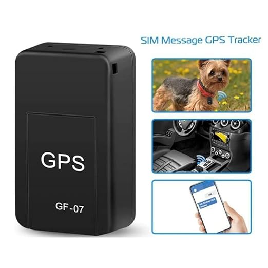 Mini GPS Tracker with Real-Time Location